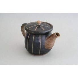 ティーポット 鉄瓶 かわいい 和風 線彫 ポット急須 金網茶こし付（黒）410ml 瀬戸焼