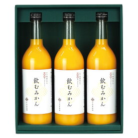 【SALE期間中。全品ポイント2倍】早和果樹園 有田みかんジュース「飲むみかん」3本セット W3-B