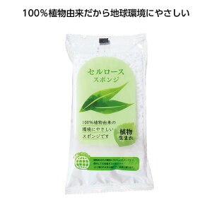 y11/30@Si|Cg2{z Z[XX|W34912