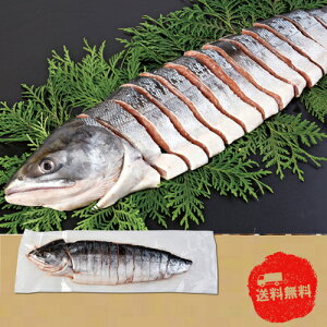 y11/10@|Cg2{zHg؂gyYzyΕzyszyszyⓀz