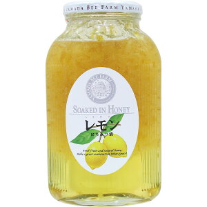 y11/30@Si|Cg2{z Rc{I@݂͂Ёi900gj