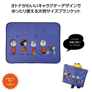 y11/30@Si|Cg2{zXk[s[C@[WuPbg36621ywsz