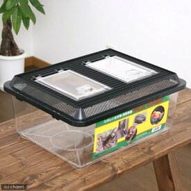 鈴木製作所 飼育容器 特大フラット 黒