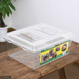 鈴木製作所 飼育容器 特大フラット クリア