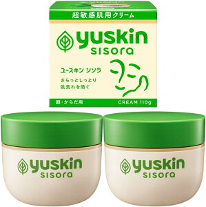 [XL V\ N[ E炾p {g 110g×2 q  ێ  {fBN[ {fBPA