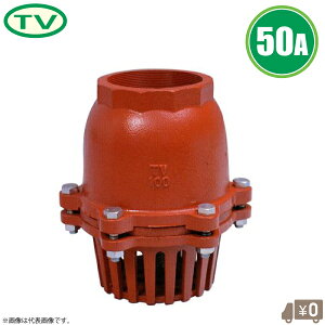 ���p��o���u �X�v�����O�� �t�[�g�o���u 50A �˂����ݎ� �t�[�g�� ���S�� �t�~�� �`���b�L�� �`���b�L�o���u �t�[�h�o���u ��[�t�[�g ��t�[�g TV 50mm