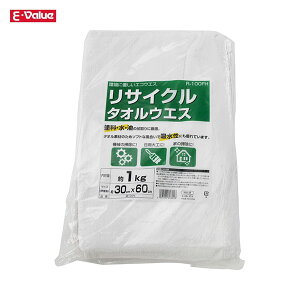 E-Value TCN^IEGX 30×60cm 100% 1kg R-100FH | 