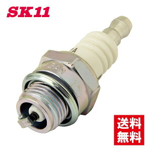 SK11 Xp[NvO No.9 BM7A `F[\[ _@ @ ėpGW