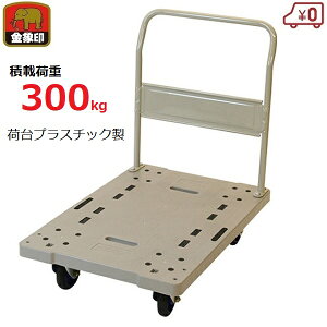   300kg y vX`bN { nhŒ莮 H X q ^ ^  vL[bNSTL 
