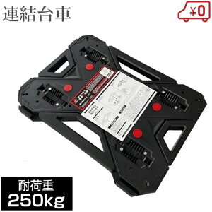 A\ȐÉ A [go A A L[J[g   ^ LX^[ X^bLO É A ω׏dF250kg