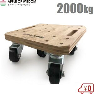 cJT ou[ 2000kg dʕ^  ؐ  ^ LX^[t 2t