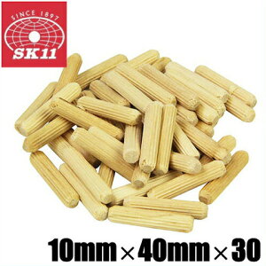 SK11 _{ I󂯃_{ 10×40mm 30{ [I󂯋 ؐ B g diy ؍ H]