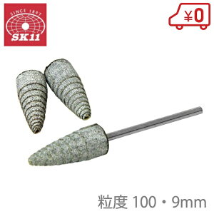 SK11 ty[p[R[ #100 SRB-601 [dCh dh  h]