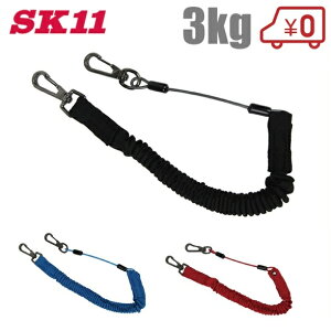 SK11 SR[h SWF-3KG 3F h~ C[ H Xgbv S[v ZteB[R[h