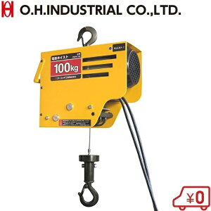 OH dzCXg g[ 100V 100kg d`F[zCXg DWH-100 dEC` dzCXgN[