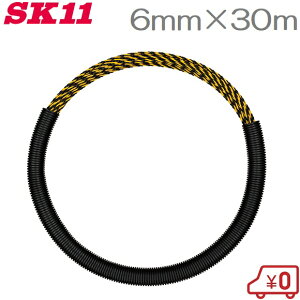 SK11 gvC 30m DVC-TP630 P[Xt ʐC[ ʐH