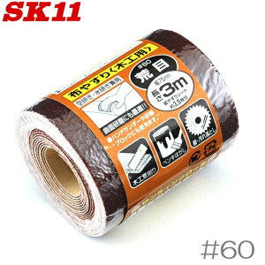 SK11 TfBO[ 3m ؍Hp #60 X ₷ k