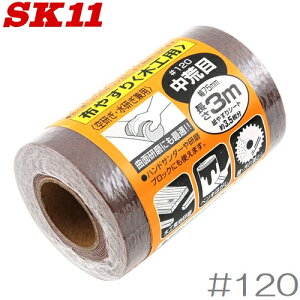 SK11 TfBO[ 3m ؍Hp #120 X ₷ k