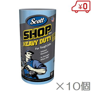 SCOTT ԃ^I vVbv^Iwr[ 60×10 ԃObY EGX XRbg z^I