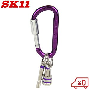 SK11 rbgz_[Zbg SBH-SETP H h~  L[z_[  