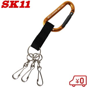 SK11 A~Jri SAC880BB3 S[h H h~  L[z_[  