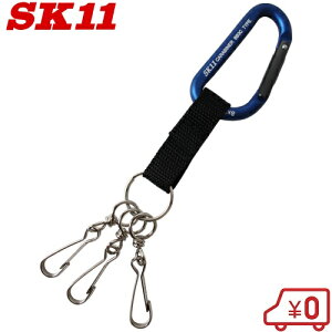 SK11 A~Jri SAC880BB3 u[ H h~  L[z_[  