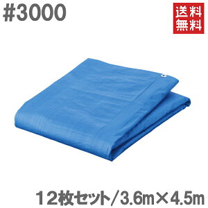 yzu[V[g 3.6m×4.5m 12Zbg #3000 hV[g W[V[g rj[V[g