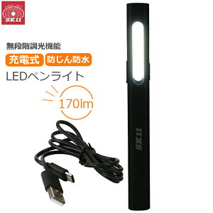 SK11 [d LED y^ [NCg 170[ ƃCg h h LEDCg |Pbg Nbvt }Olbgt RpNg iK ԍ AEghA SLW-170DMP