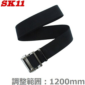 SK11 Sxg ƃxg SB-S48 ubN XChobNxg T|[gxg S ƒ  H dH H