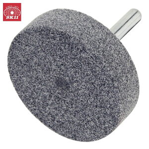 SK11 tX|Wu P-6  dhANZT y̖ o h͂