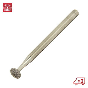 SK11 t_Chu 3.0 D-10  dhANZT  ؍ RN[g