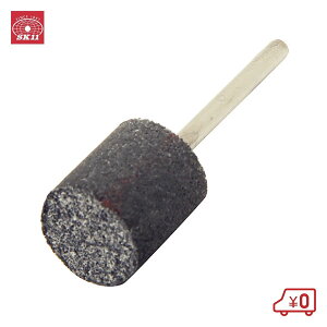 SK11 tX|Wu΃XeXp P-1(B)  dhANZT o h͂ 