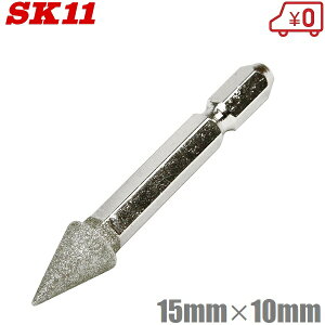 SK11 Zp_Cho[ DIA-4HEX x:100 gK^ 15×10mm  ؍ dhA^b`g