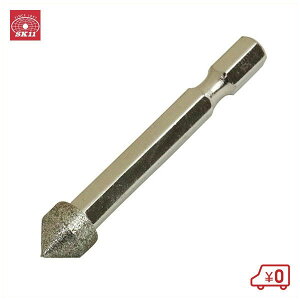 SK11 Zp_Cho[ DIA-5HEX x:100 ~gK^ 10×10mm  ؍ dhA^b`g