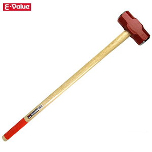 E-Value n}[ 3.6KG  Ƃ񂩂   