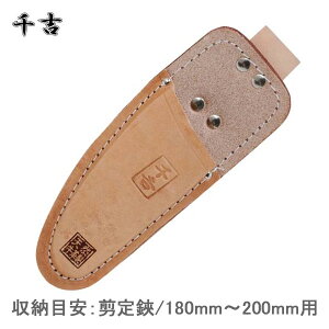 g TbN ^Jt NO.15E ΂ oT~ 