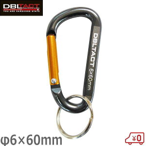DBLTACT A~Jri X^_[h^Cv 6mm×60mm K^×S[h DT-AK-061 H h~ ܒ݂艺 L[z_[ 