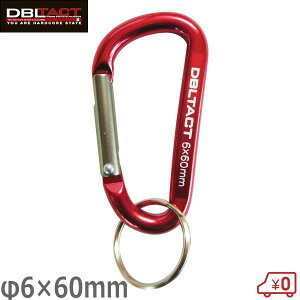 DBLTACT A~Jri X^_[h^Cv 6mm×60mm bh×K^(S) DT-AK-062 H h~ ܒ݂艺 L[z_[ 