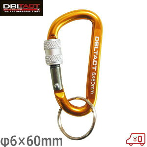 DBLTACT A~Jri bN 6mm×60mm S[h×K^(S) DT-AKL-163 H h~ ܒ݂艺 L[z_[ 