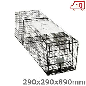 Lb`nEX TE-02 ݔ nNrV ACO} ߏb ߊl Qbߊl Qb쏜 Qb΍  ߊl Aj}Lb`[ Aj}gbv ی