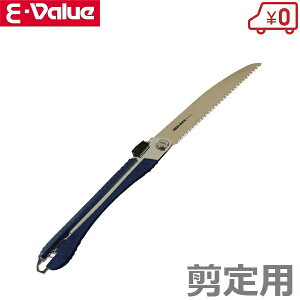 E-Value mRM ֐n ܍ 210mm pmRM 苘 ܂肽 ̂ Lv AEghA ؍