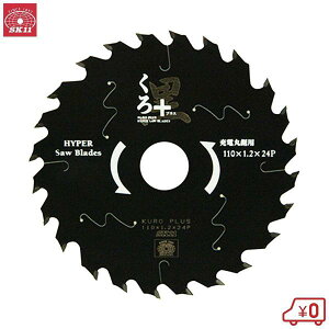 SK11 vX Oa110mm n1.2mm a20mm n24P ؒf [dۋANZT[