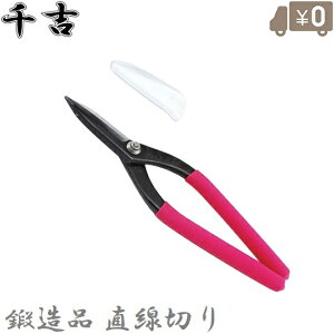 g ؂͂ 210mm ؂΂  ؂oT~ MS-1 g^ KoE|  ^J XeX