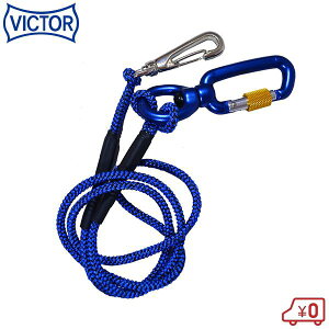 rN^[vX Z[teBR[hX 1kg  VPC-1BL S[v H h~ Xgbv