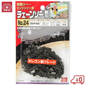 SK11 `F[\[ ֐n 25AP-60E [n \[`F[ GW d `F\[ nXNo[i]