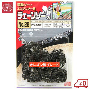 SK11 `F[\[ ֐n 25AP-84E [n \[`F[ GW d `F\[ nXNo[i]