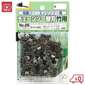 SK11 `F[\[ ֐n 91F-45E n \[`F[ GW d `F\[ |p