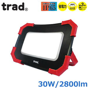 trad  LED @ ^ 30W 100V 2800[ TSL-30W O hohH Lv K[W qɍ AEghA