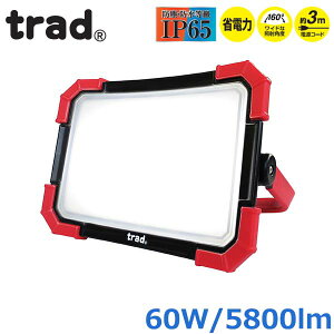 trad  LED @ ^ 60W 100V 5800[ TSL-60W O hohH Lv K[W qɍ AEghA