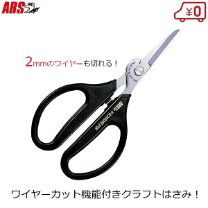 AX ͂ pr \΂  #3100 C[Jbgt t[AWg  |